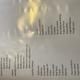 2016 Forestriver Surveyor 295QBLE