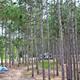 Yukon Trails Campground