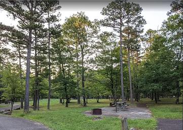 Winding Stair Campsites - Spring