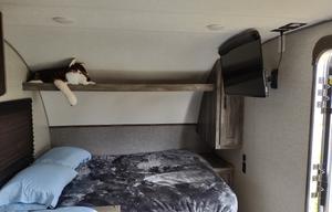 2020 Forest River "The Triplets Travel Trailer"