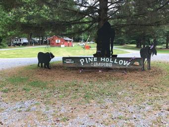 Pine Hollow Campground