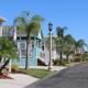 Encore Tropical Palms