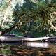 Moss Creek 