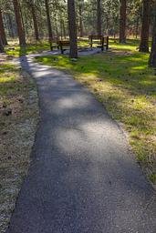 LARRY CREEK GROUP CAMP Paved Walkways
