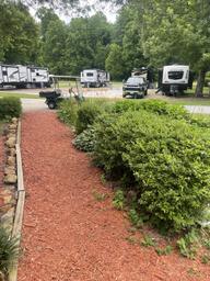 Cartoogechaye Creek Campground