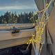 Rainforest Roamer - Cozy Cabin On Wheels
