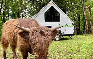 Cute + Minimal A-frame (Aliner)