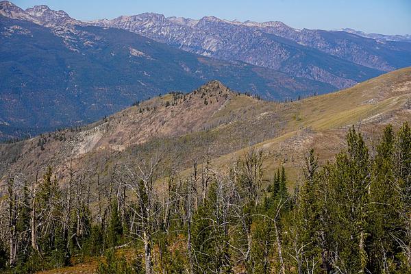 01, Loop: AREA MEDICINE POINT LOOKOUT