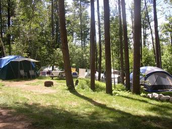 Tent camping area among trees with visible tent sites and fire rings — demonstrates tent camping options and wooded campsites (from the campground’s photo pages).