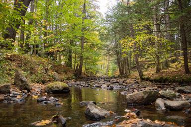 Campspot slideshow image 4