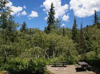 Spruces - Big Cottonwood