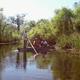 Punt/canoe tour on a marsh waterway with guests — aligns with the site's 'Guided Tours' content and illustrates activities offered from the campground.