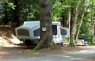Another numbered campsite (site #7) with a pop-up camper and wooded surroundings — useful to show camping accommodations and site spacing.