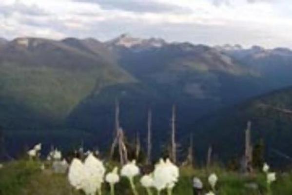 001, Loop: AREA SHORTY PEAK LOOKOUT