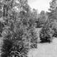Campspot slideshow image 5