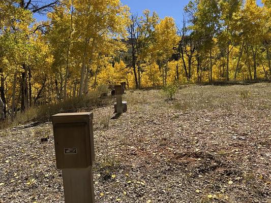 Currant Creek Guard Station, Loop: Currant Creek Guard Station