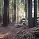 Modern Farmhouse Bunkhouse Motorhome 2022 Alante