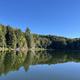 Calm water reflects trees along the shoreline of a lake with a beautiful blue sky overhead.