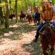 Campspot slideshow image 5