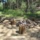 Wood chopping area with stack of chopped wood to the left of wood and metal picnic table
