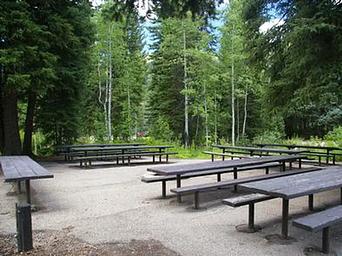 Spruces - Big Cottonwood