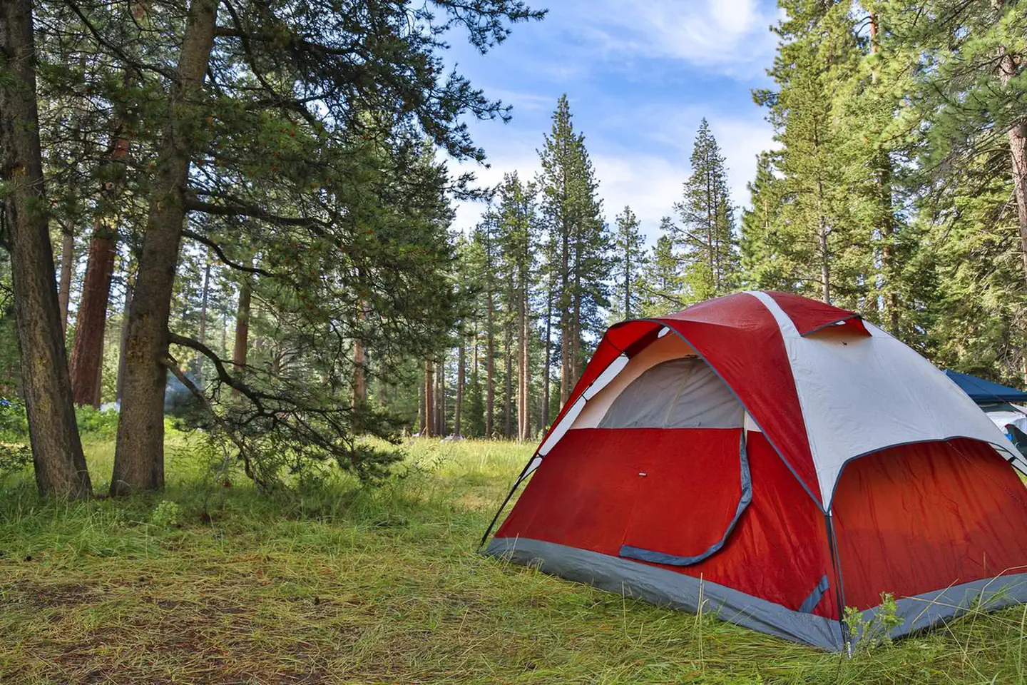 Badgers Den at Camp Richardson Resort