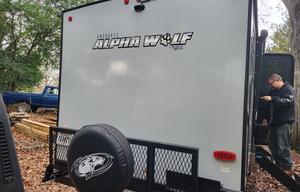 Alpha Wolf
