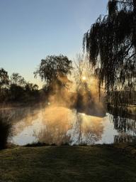 Another scenic shot of the pond with morning mist and trees — complementary scenic view that highlights the property's natural setting (appears on the homepage).