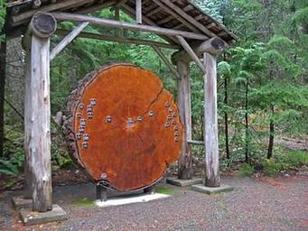 Ohanapecosh Campground