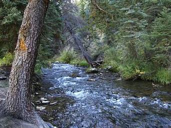 Big Rock Group Campground