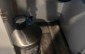 2020 Keystone RV Bullet 273BHS