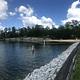 This is a view of the Hannah Point designated swim area from the Elijah Cove picnic area 