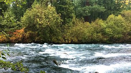 Rapids on the Metolius River