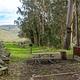 In the foreground are a picnic table and food locker. In the distance are the other campsites, eucalyptus trees, and rolling hills.