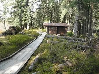 J11, Loop: AREA TAKU GLACIER CABIN