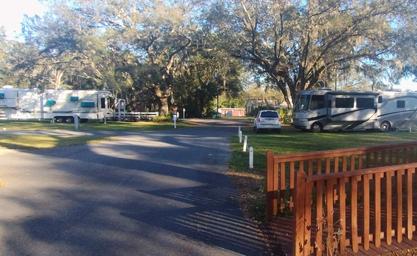 Country Oaks