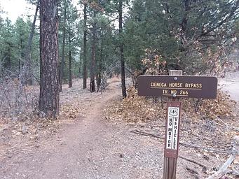 Sign for Cienega trail No. 266 and path.