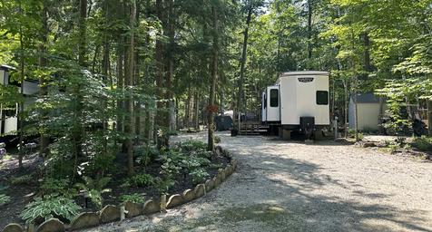 Wide view banner-style image of RVs among trees and gravel roads — good overall view of site layout and tree cover used on the home page.