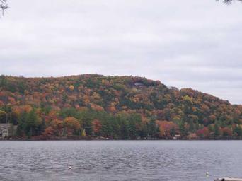 Wide lakescape with treed shoreline and fall foliage across the water — good scenic overview of the lake and surroundings from the property's Photos gallery.
