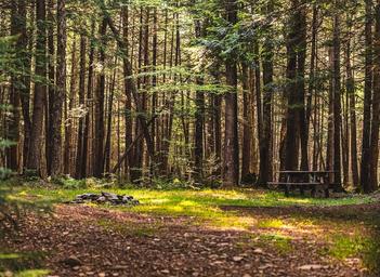 Campspot slideshow image 5
