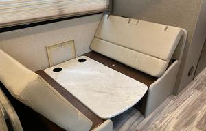 2020 Thor Motor Coach ACE 30.4 (Wander Woman)