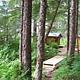 PETERSBURG LAKE CABIN4