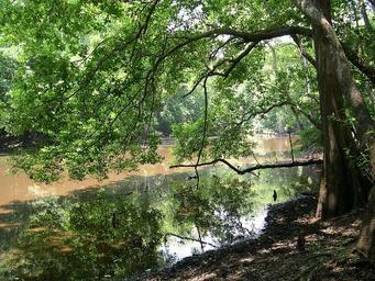 Campground image 2