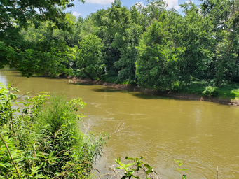 Beech Bend Campground