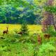 Campspot slideshow image 3