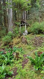 Salmon Lake Cabin