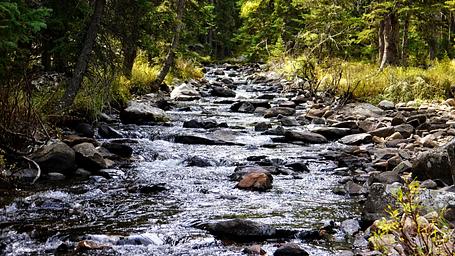 South Fork (Wyoming)