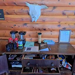 Lanterns and Entertainment