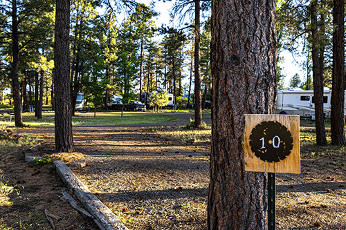 Basecamp Pagosa