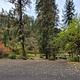 South Fork Site #5